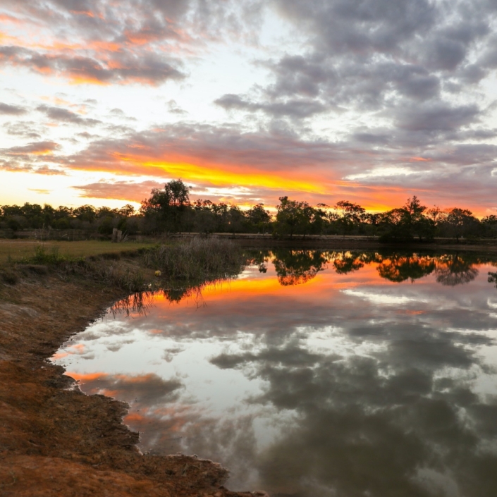 Trinity Island Holiday Park Review - Free to Explore