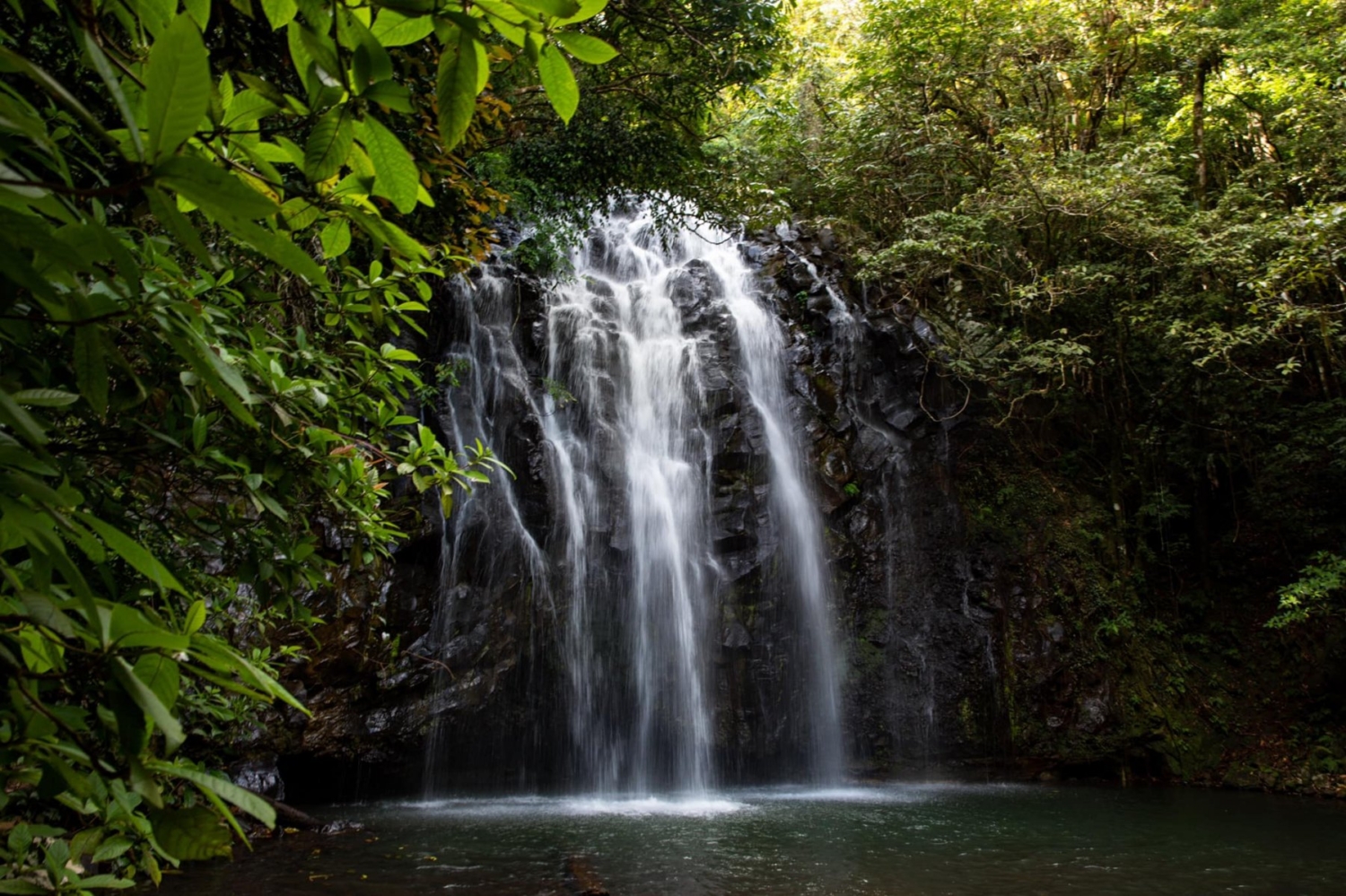 Five Stunning Waterfalls To Visit In The Atherton Tablelands - Free to ...